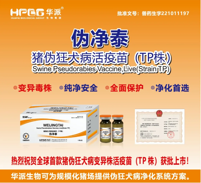 e1630872ef647f5933fcb109094be04.png